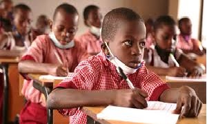 10 Current Definitions of Social Studies by Different Authors